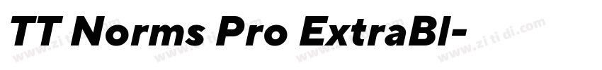 TT Norms Pro ExtraBl字体转换